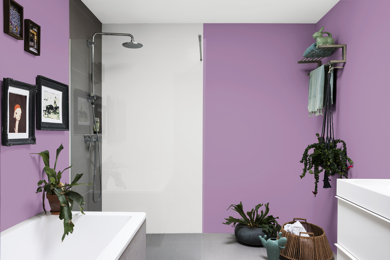 Dulux Ambiance™ Diamond Glo - Cat | Dulux