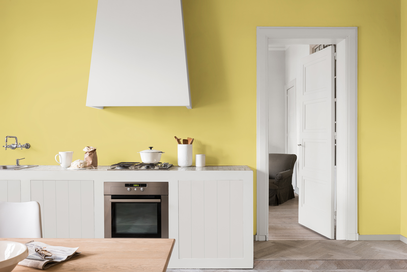 Dulux Paint Mixing Easycare Kitchen Matt Interior Dulux