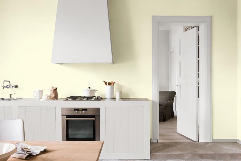 Dulux Acrylic PVA Tinted Dulux