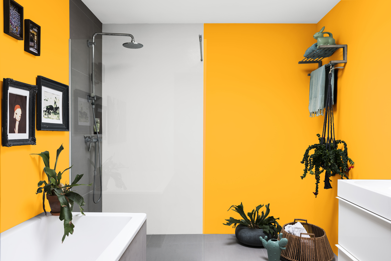 00yy 63 024 dulux в интерьере