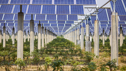 frontiers-in-climate-green-recovery-carbon-emissions-covid-renewable-energy