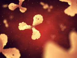Antibodies ( Immunoglobulin ) are small proteins that are part of the immune system's response to infection. Antibodies neutralize or destroy bacteria and viruses, 3d illustration