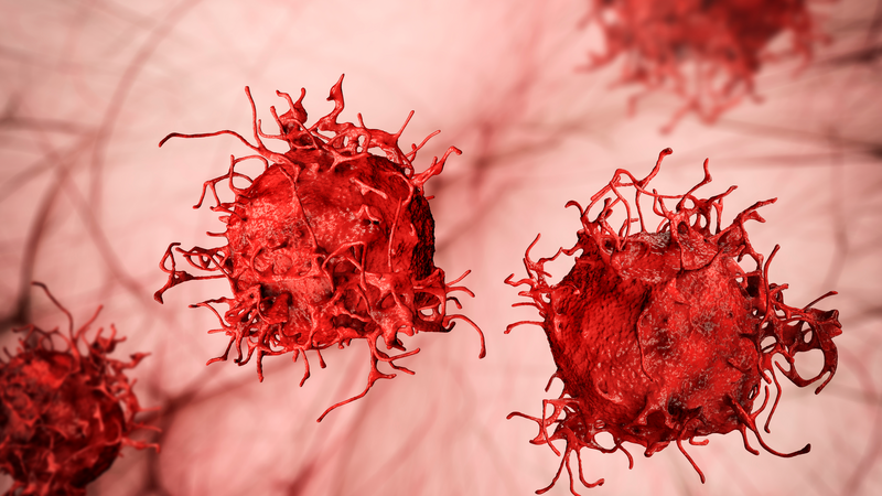 Journal of Cutaneous Immunology and Allergy