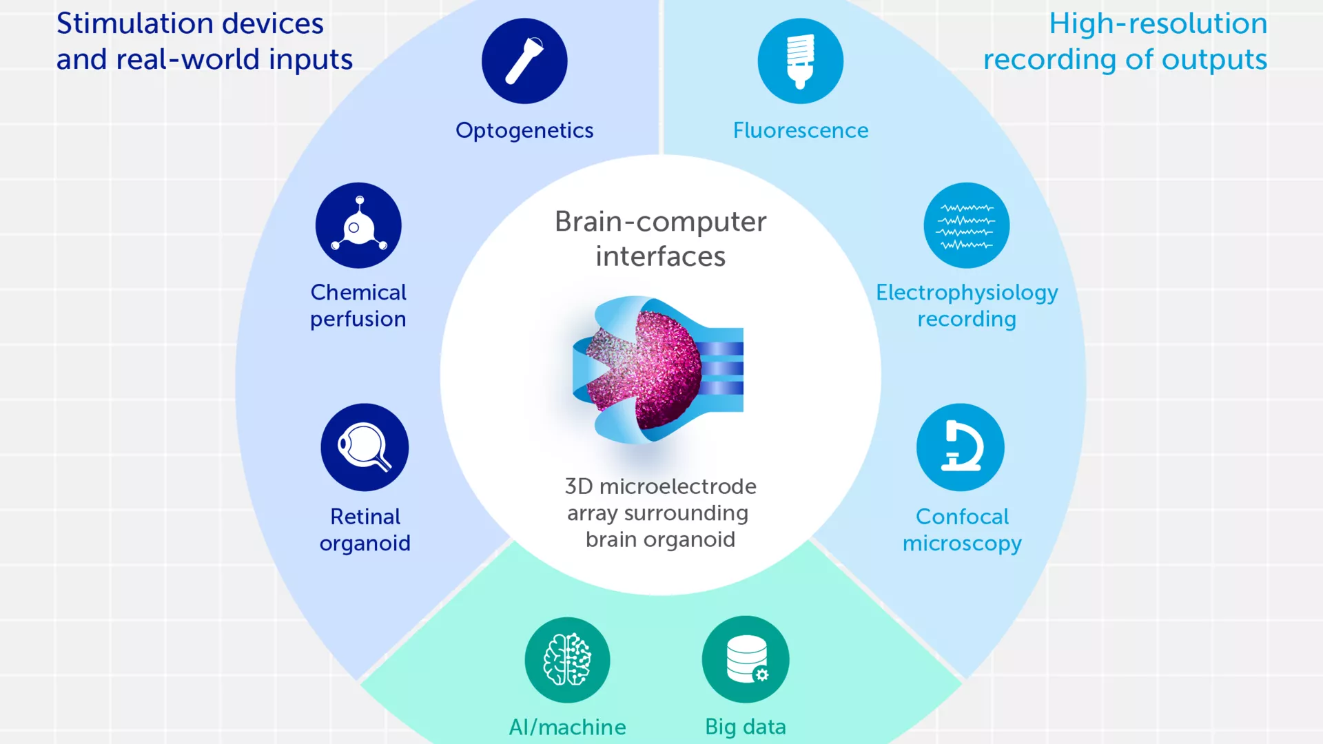 Frontiers | Organoid intelligence (OI): the new frontier in biocomputing  and intelligence-in-a-dish, image size:1920x1080
