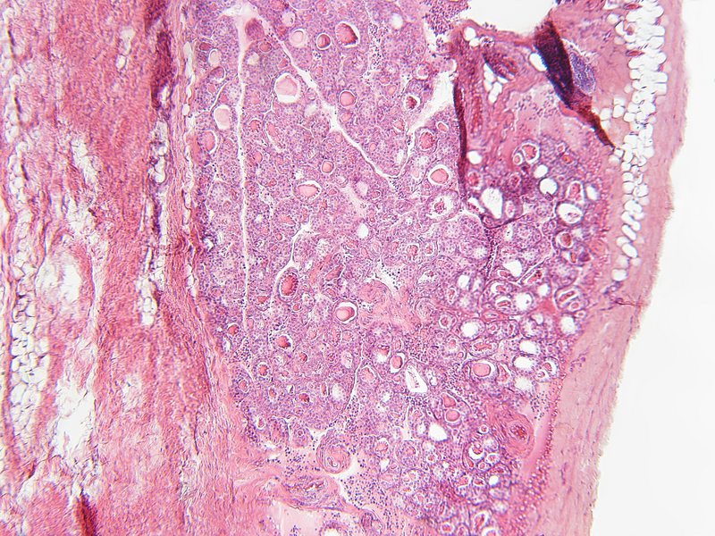 This image is a journal's Main Visual. Please do not use it outside journal specific assets. More information in the 'How to use Main Visuals' guide (coming soon).