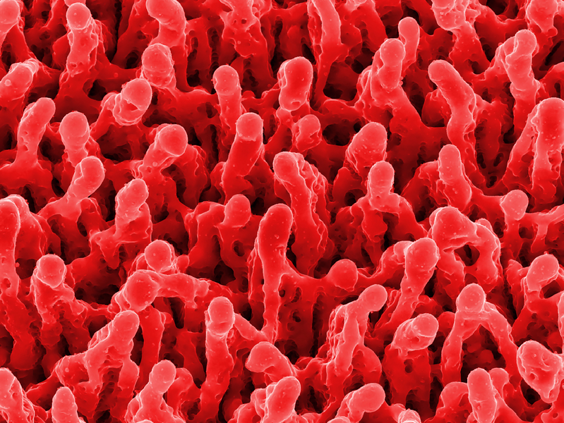 Frontiers in Coatings, Dyes and Interface Engineering