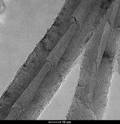 Carbon nanotubes image by transmission electron microscope. Science and technology concept of smart material in the future.