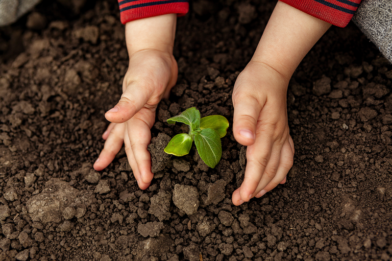 Spanish Journal of Soil Science