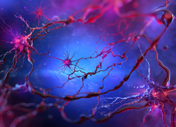 Human brain neural network, active neuron cells, knots, axons nervous system scientific 3D background. Nerve cells electrical activity. Biology, neurology science, cognition, psychology, mental health