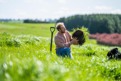 soil carbon scientist research in the field conducted with farmers and agriculture industry with climate change