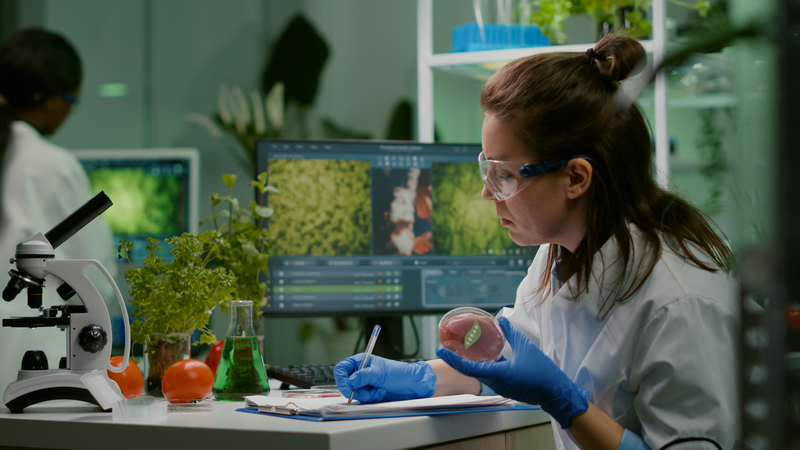 Biologist woman writing medical expertise while holding petri dish with vegan beef meat in hands working in microbiology laboratory. Chemist woman researching food modified genetically