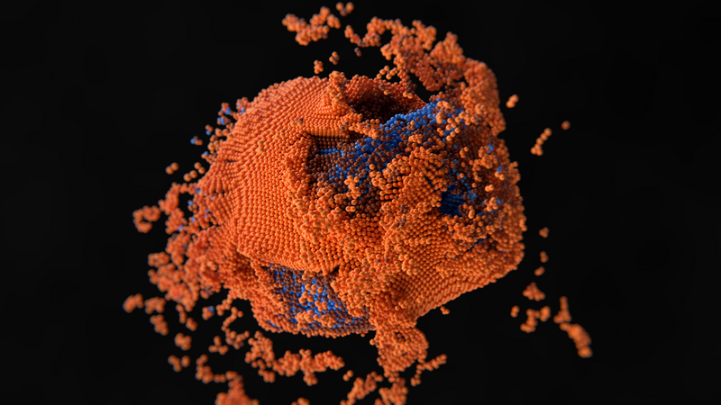 Frontiers in Cell Death