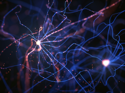 3D illustration of Interconnected neurons with electrical pulses.