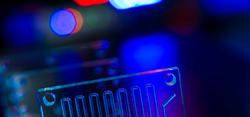 Organ-on-a-chip (OOC) - microfluidic device chip that simulates biological organs that is type of artificial organ. Prototype of design lab-on-a-chip in microfluidic laboratory