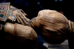 egyptian mummy head close up detail
