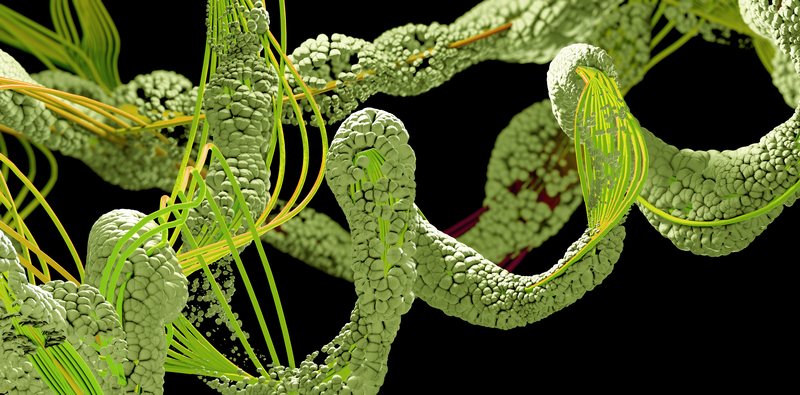 Frontiers in Natural Products