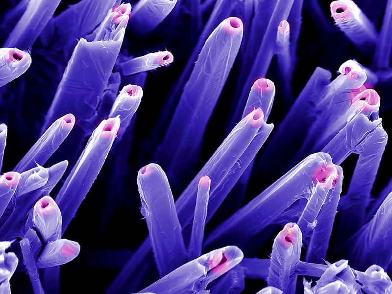 Frontiers in Catalysis