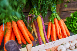 Different types of colorful carrots on farmer market. Fresh healthy bio vegetables on farmer agricultural market in France