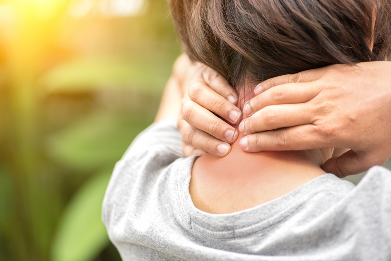 Frontiers in Pain Research