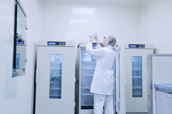 Scientist working at the laboratory