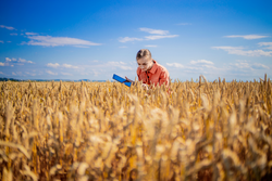 Woman caucasian technologist agronomist with tablet computer in the field of wheat checking quality and growth of crops for agriculture. Agriculture and harvesting concept