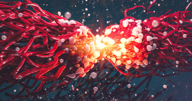 Pathology and Oncology Research