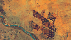 Circular irrigation fields for growing crops on unfavourable soils, satellite image. contains modified Copernicus Sentinel data