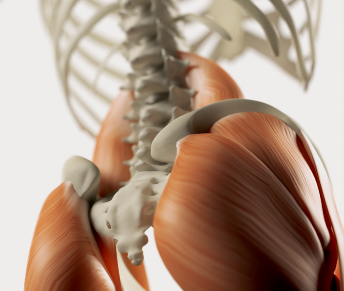 Frontiers in Musculoskeletal Disorders