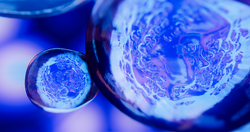 Creative image of embryonic stem cells, cellular therapy. 3d illustration