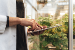 Close up midsection of agronomy scientist analyzing plant health using tablet computer at greenhouse. High quality photo