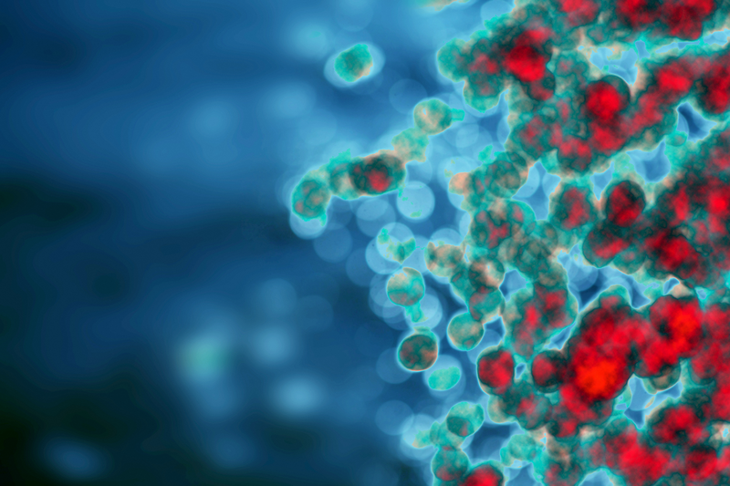 This image is a journal's Main Visual. Please do not use it outside journal specific assets. More information in the 'How to use Main Visuals' guide (coming soon).