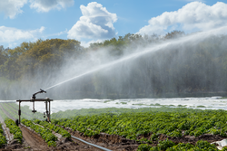Agricultural water sprinkler spraying a mist of water over crops in a field. UK