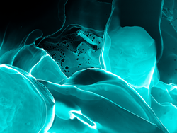 Radiology Watercolor. Fashion Artwork With Smoke Effect. Cosmic Splash. Black Biochemistry Pattern. Turquoise Microscopy Fluid. Macro Human Bone Render. Blue Radiology Watercolor.