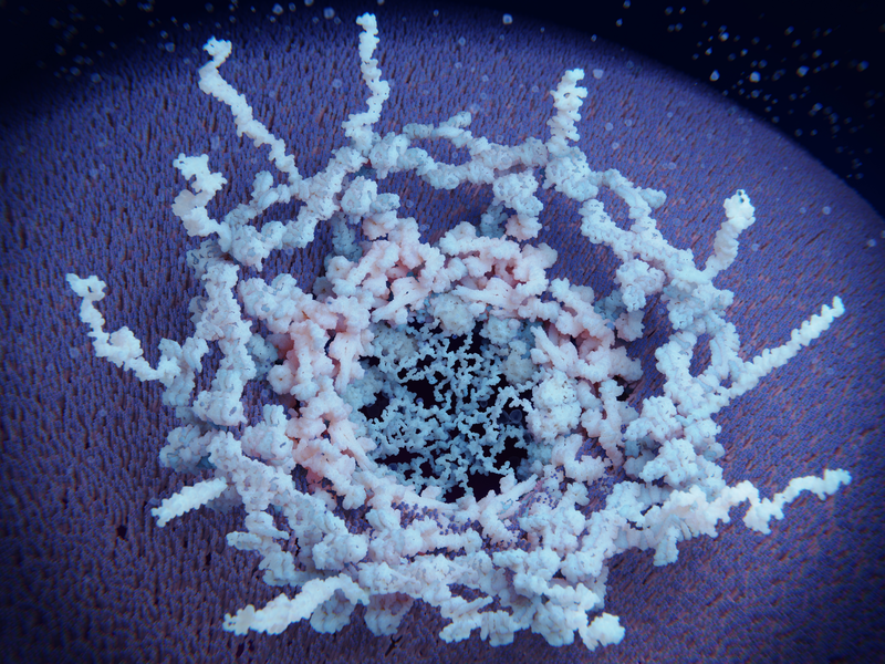 Frontiers in Biophysics