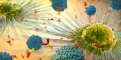 Lymphocytes cell in the immune system reacting and attacking a spreading cancer cell - 3d illustration