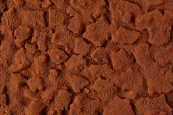 Red Soil Texture Background. Top View of a Dried Ground Surface. Close Up Macro View of Dirt and Stones. Text Space