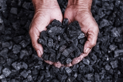 Coal mining : coal miner in the man hands of coal background. Picture idea about coal mining or energy source, environment protection. Industrial coals. Volcanic rock.