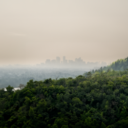 Photo of a forested area overlooking a smoggy cityscape