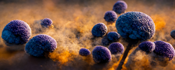 Aspergillus fumigatus critical priority pathogens health-threatening fungi  3d rendering; Shutterstock ID 2219452483; purchase_order: Bynder; job: ; client: ; other:
