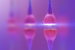 3D illustration of a neuronal synapse on a purple background. 3d rendering