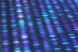 DNA code, Sanger sequence in binary digital storage. 3D Illustration of a method of colored DNA sequencing.