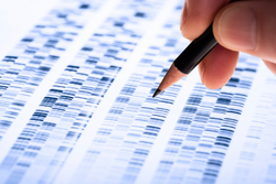 Scientist analyzes DNA gel used in genetics, forensics, drug discovery, biology and medicine.