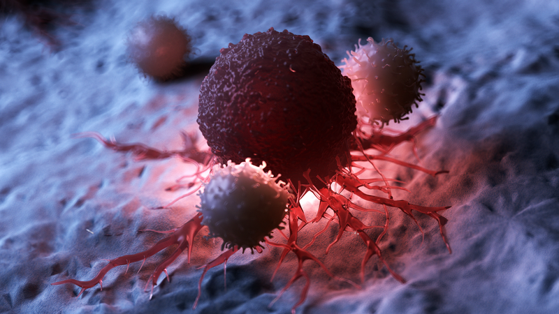 3d rendered medically accurate illustration of white blood cells attacking a cancer cell