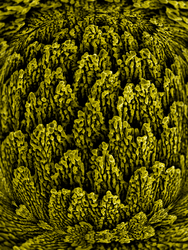 metallic nanostructures