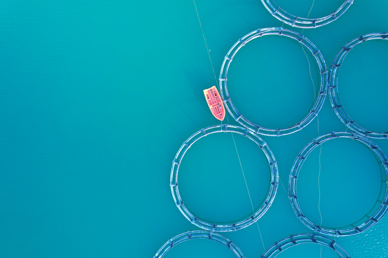 Frontiers in Aquaculture