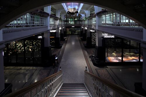 The Manchester Museum Living Gallery