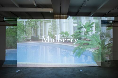 Mulberry W SS/19