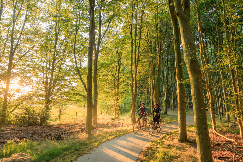 Fietsvakantie Nederland | De mooiste fietsreizen in Nederland » ANWB